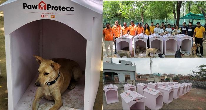 Mars Petcare and Swiggy Instamart Launch Paw Protecc Initiative: Lead the Charge to Safeguard Community Pets During Extended Monsoon Season