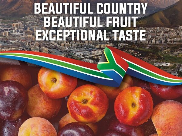 Season’s First South African Stone Fruits Arrive in India – A Feast of Freshness and Flavor