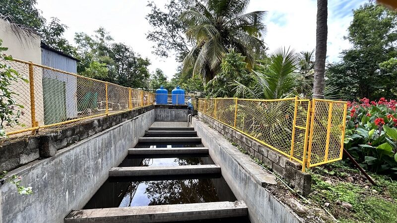 The Art of Living Pioneers Revolutionary Wastewater Treatment with Nature