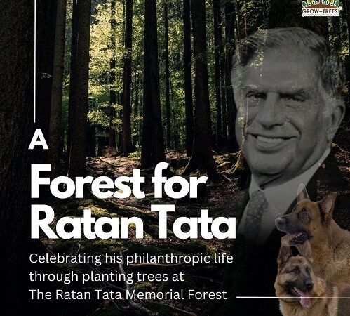 Citizens Can Write A Tribute To Create A Forest in the Memory of Industrialist Ratan Tata