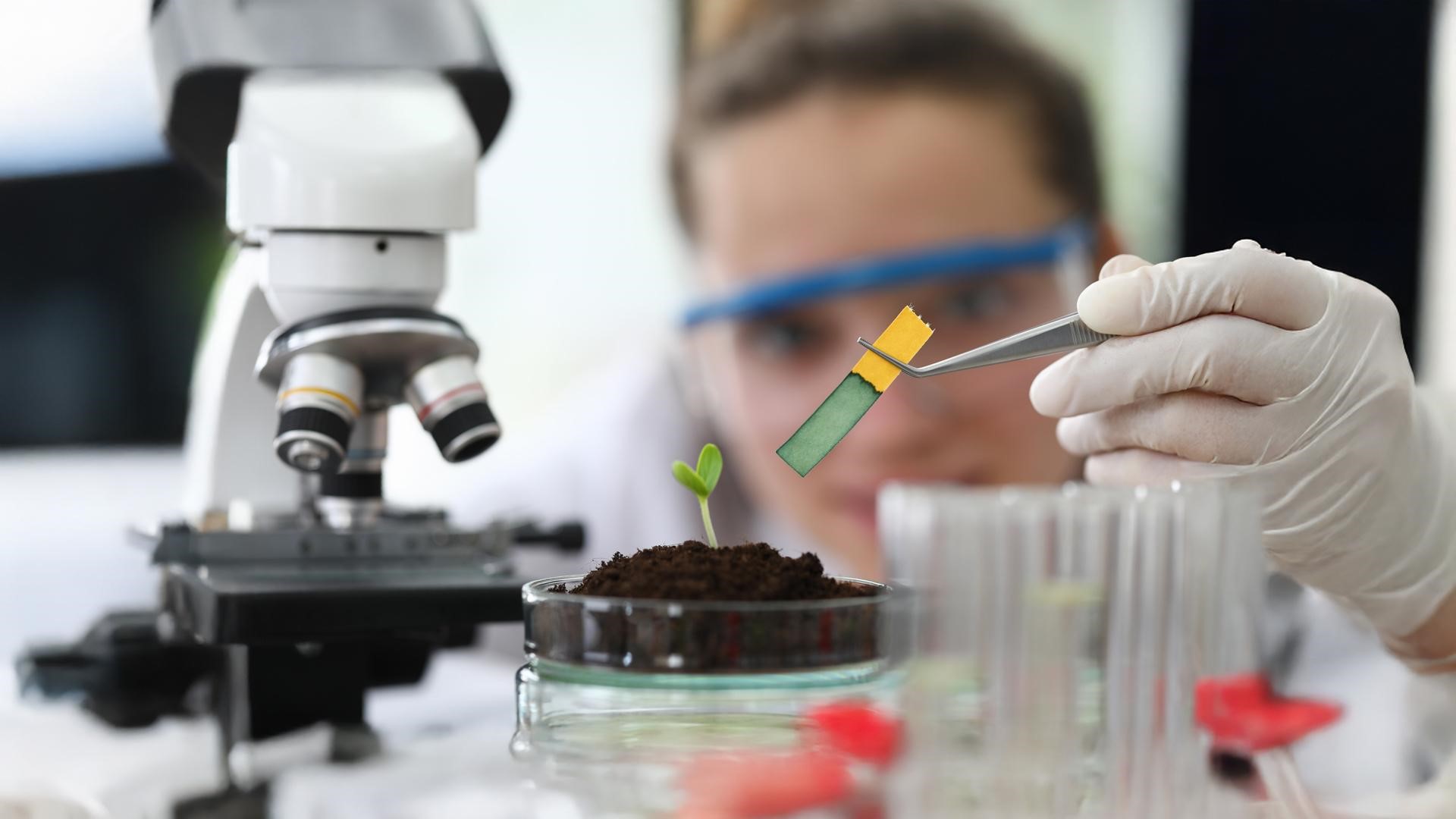 Medical Biotechnology in the Age of Personalised Medicine: Preparing Scientists for the Future of Healthcare
