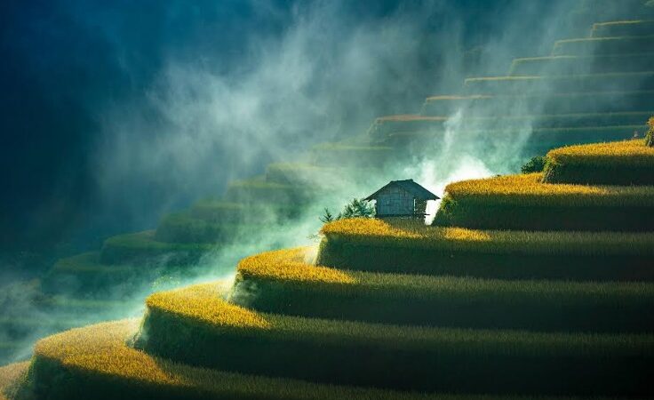 Greenstorm Unveils Winning Images Celebrating Beautiful Wetlands