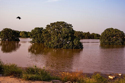 Rs. 2.3+ Crore Raised on Impact Guru to Help Punjab’s Flood Survivors Rebuild Their Lives