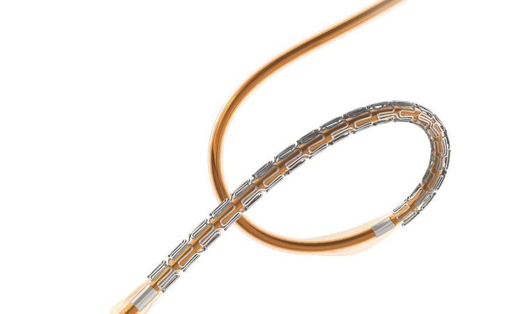 Positive 3-Year Results from FIRE Trial Demonstrate Supraflex Cruz’s Safety and Efficacy in Elderly Heart Attack Patients