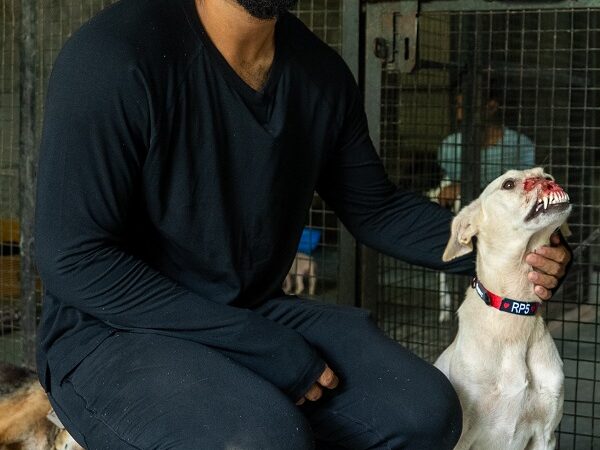 From Jerseys to Journeys of Care: Riyan Parag Transforms His Cricket Memories into Comfort for Shelter Animals