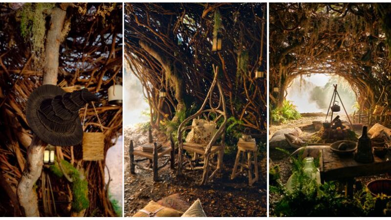 Discover the Magic of Wicked: For Good at Elphaba's Retreat