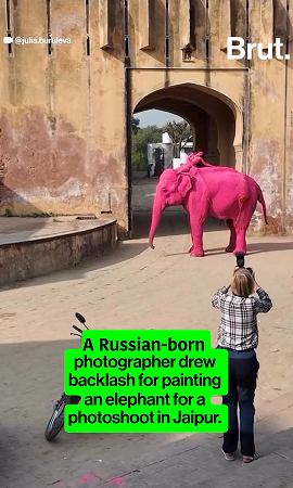 Spare Human Whims on wild Animals, Says World Animal Protection