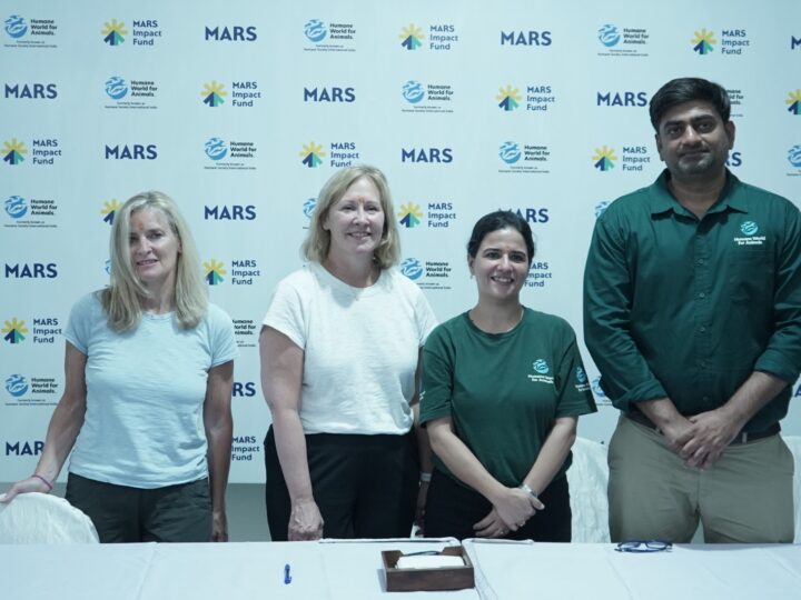 Science Meets Compassion in Lucknow, India's Model City for Street Dog-community Coexistence