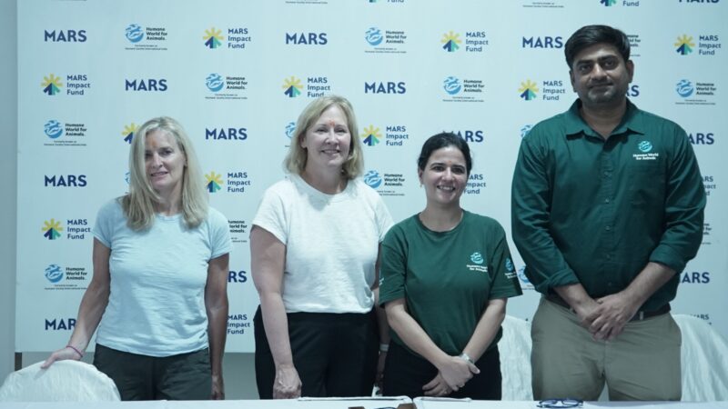 Science Meets Compassion in Lucknow, India's Model City for Street Dog-community Coexistence