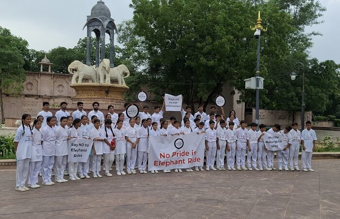 World Animal Protection Appeals to Chief Minister of Rajasthan to End Elephant Rides on Occasion of World Elephant Day