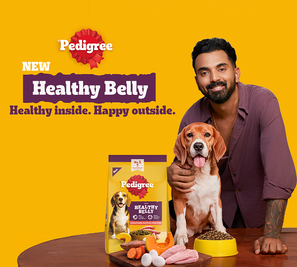 Nearly 1 in 4 Pet Parents Feeding Home-Cooked Meals Report Digestive Issues; PEDIGREE® Responds with Healthy Belly