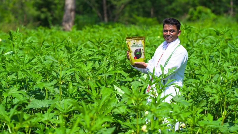 Vardaan Emerges as a Promising Nature-Based Alternative to DAP, Enhancing Soil Health